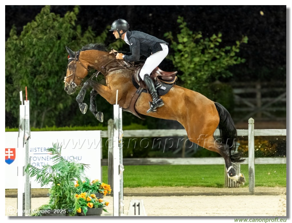 �amor�n - Danube Champions Tour Week 2