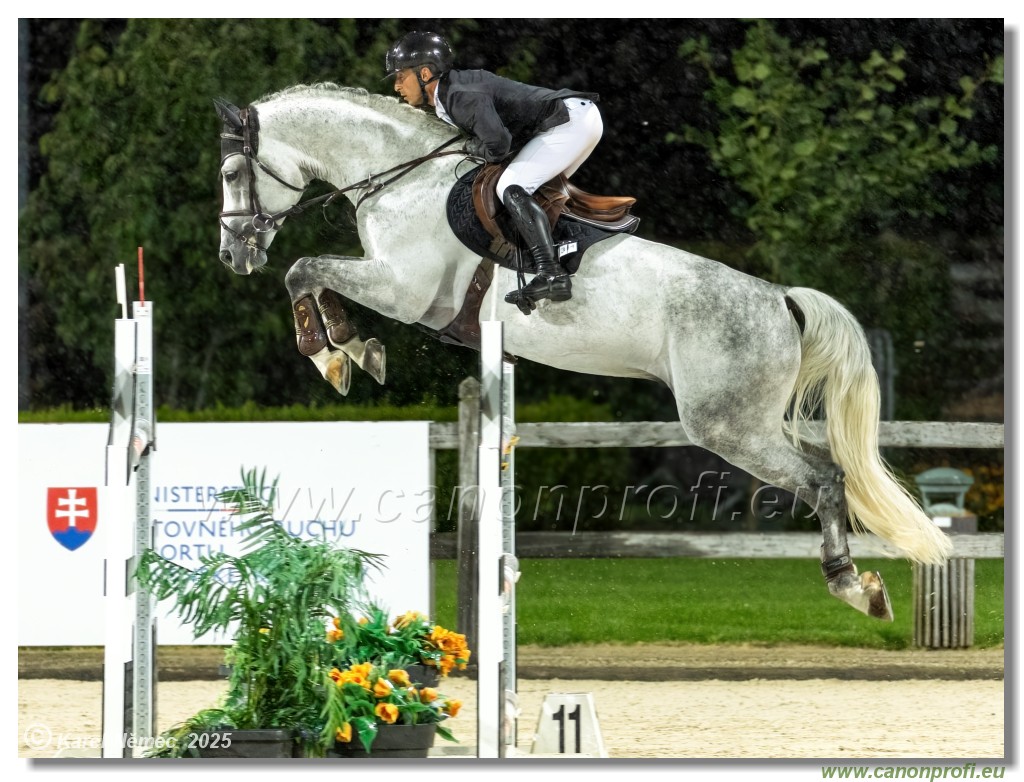 �amor�n - Danube Champions Tour Week 2