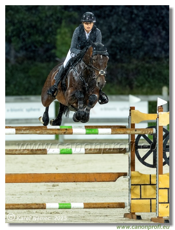 �amor�n - Danube Champions Tour Week 2