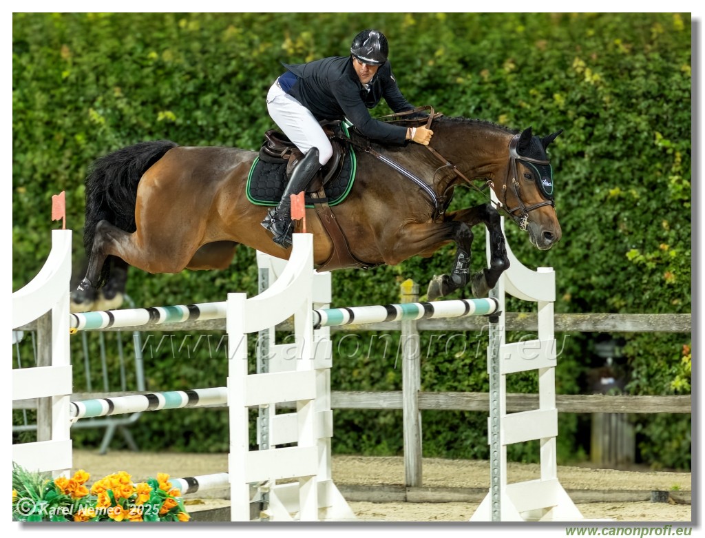 �amor�n - Danube Champions Tour Week 2