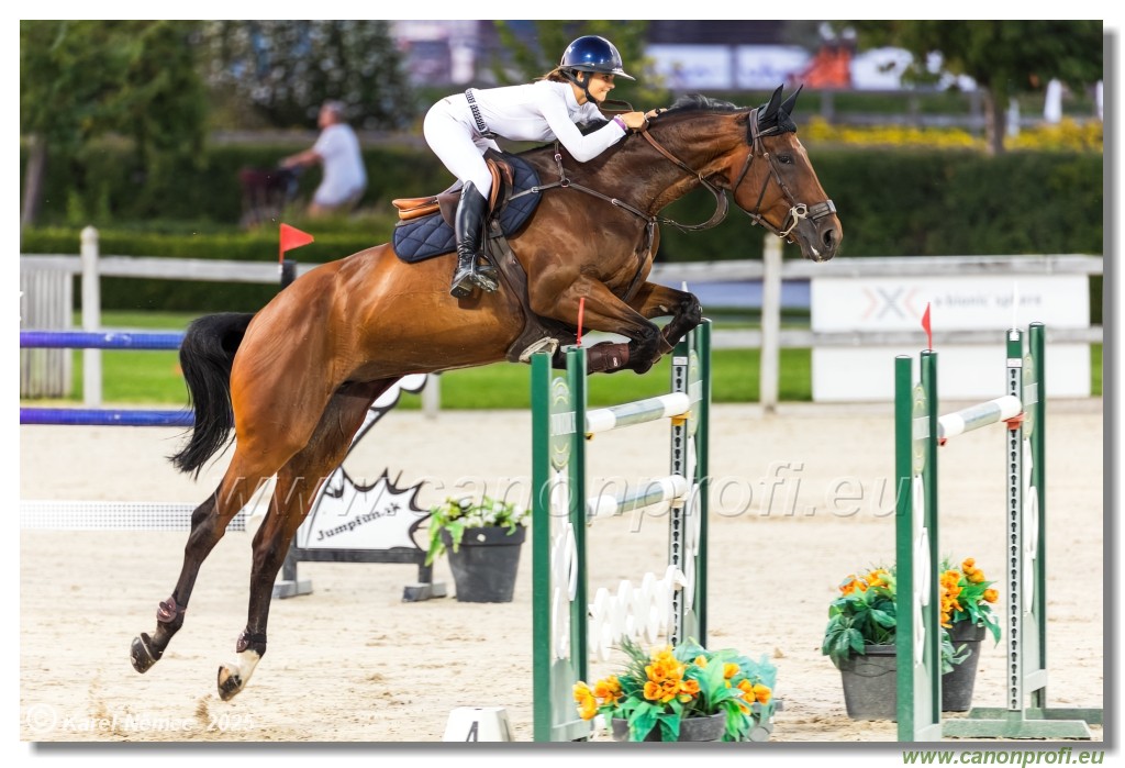 �amor�n - Danube Champions Tour Week 3