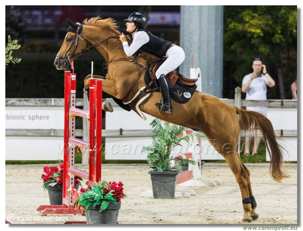 �amor�n - Danube Champions Tour Week 3