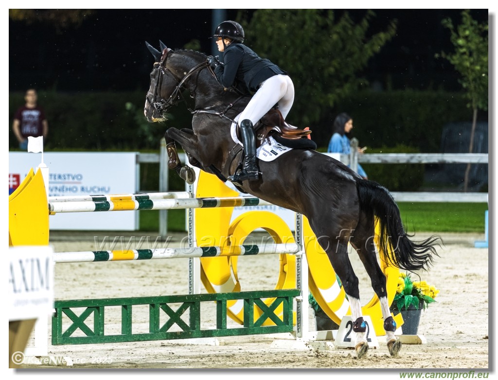 �amor�n - Danube Champions Tour Week 3