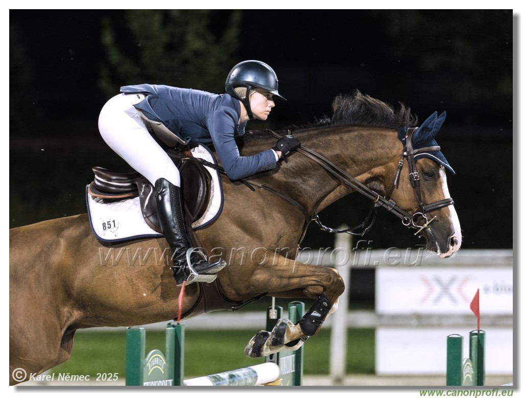 �amor�n - Danube Champions Tour Week 3