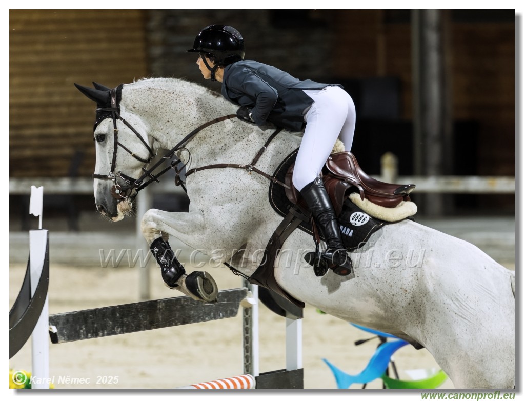 �amor�n - Danube Champions Tour Week 3