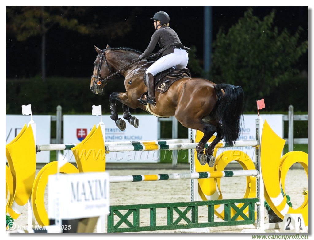 �amor�n - Danube Champions Tour Week 3