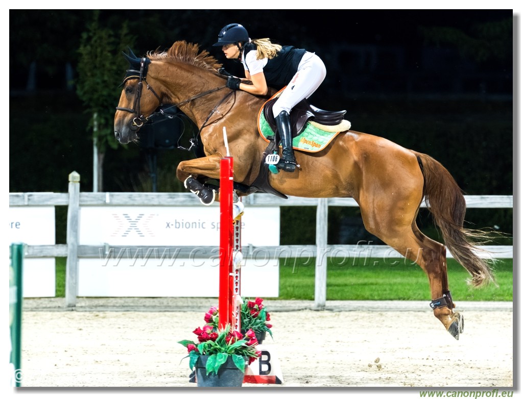 �amor�n - Danube Champions Tour Week 3