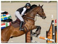 Competition L - 120 cm