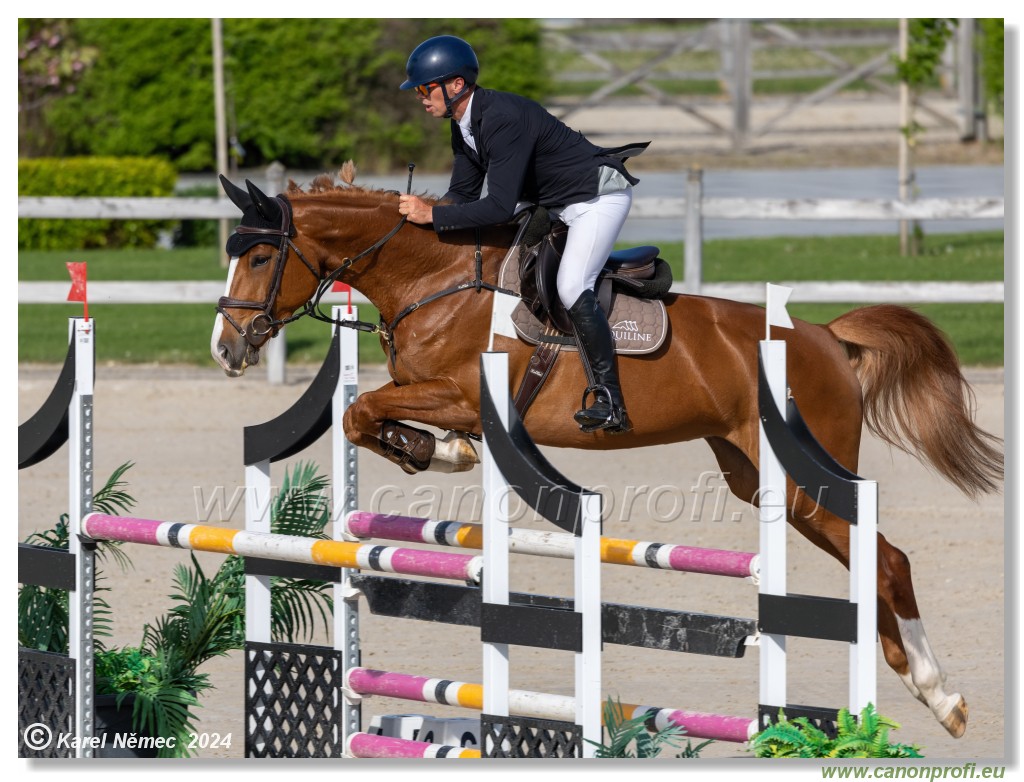 Competition L - 120 cm