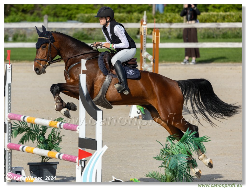 Competition L - 120 cm