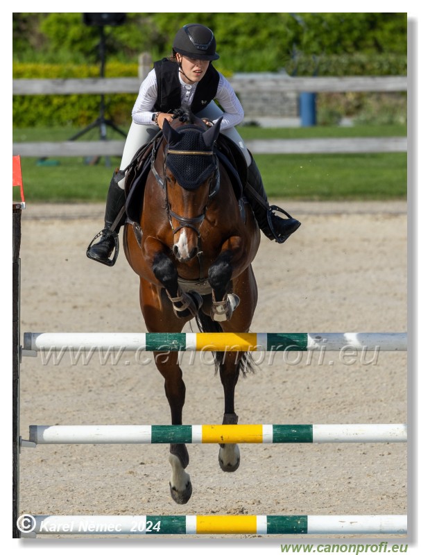 Competition L - 120 cm