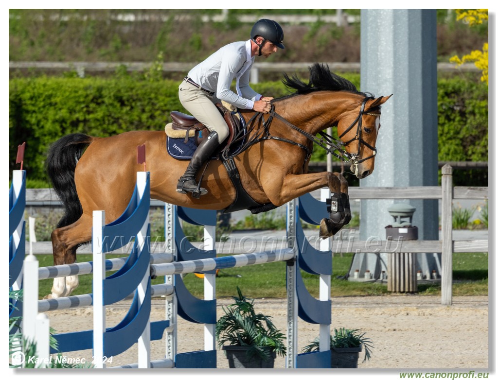 Competition L - 120 cm