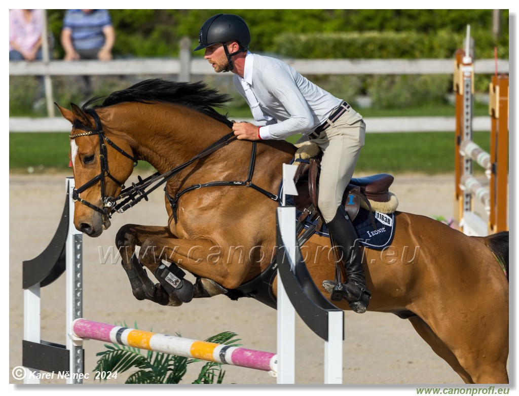 Competition L - 120 cm