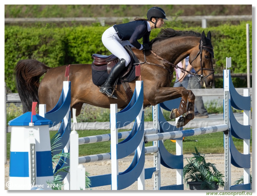 Competition L - 120 cm