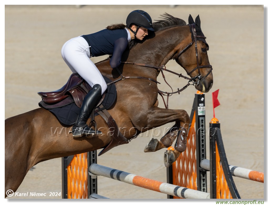 Competition L - 120 cm