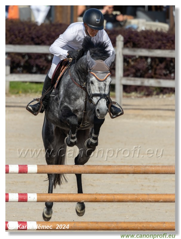 Competition L - 120 cm