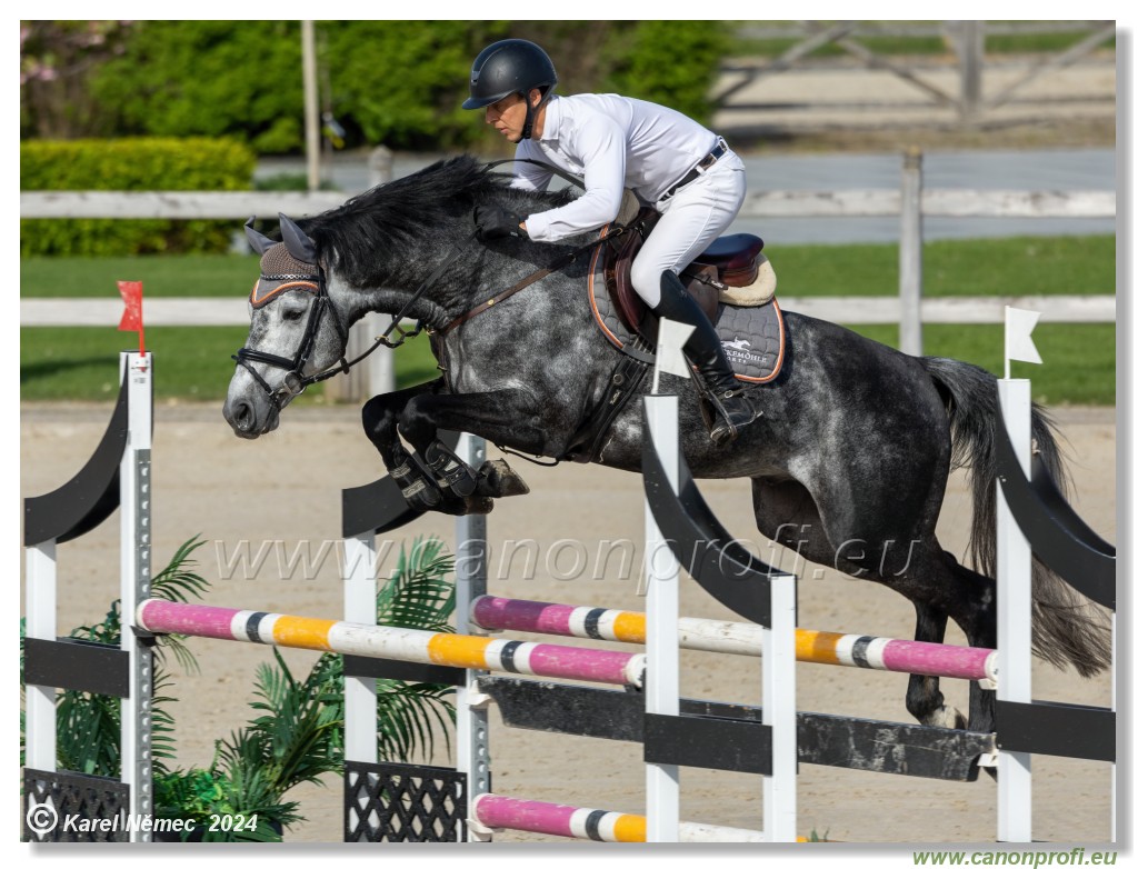 Competition L - 120 cm