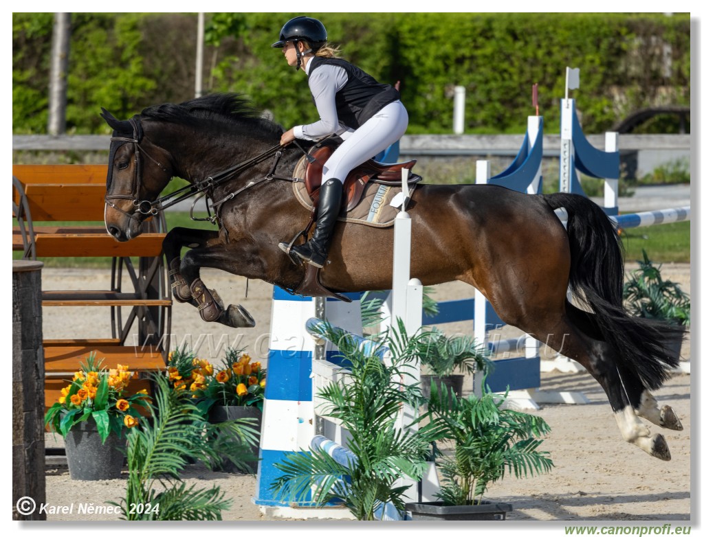 Competition L - 120 cm