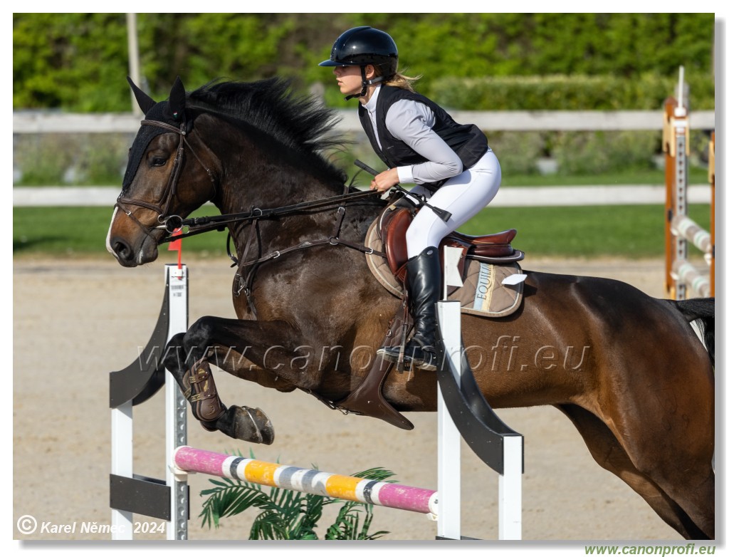 Competition L - 120 cm