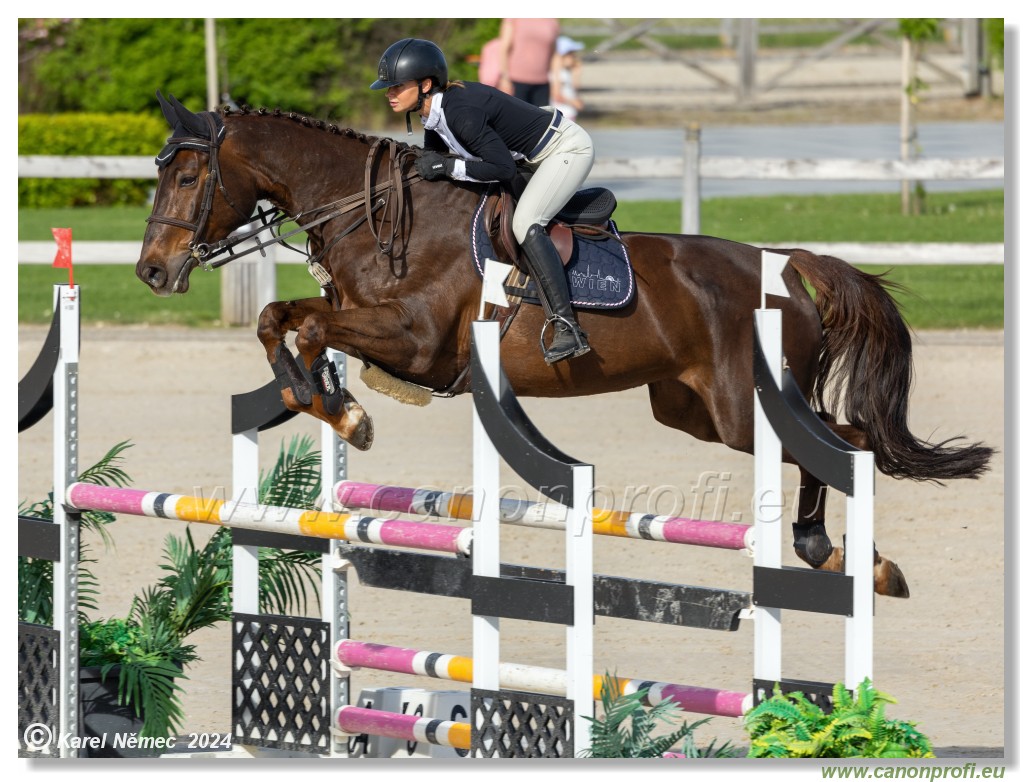 Competition L - 120 cm