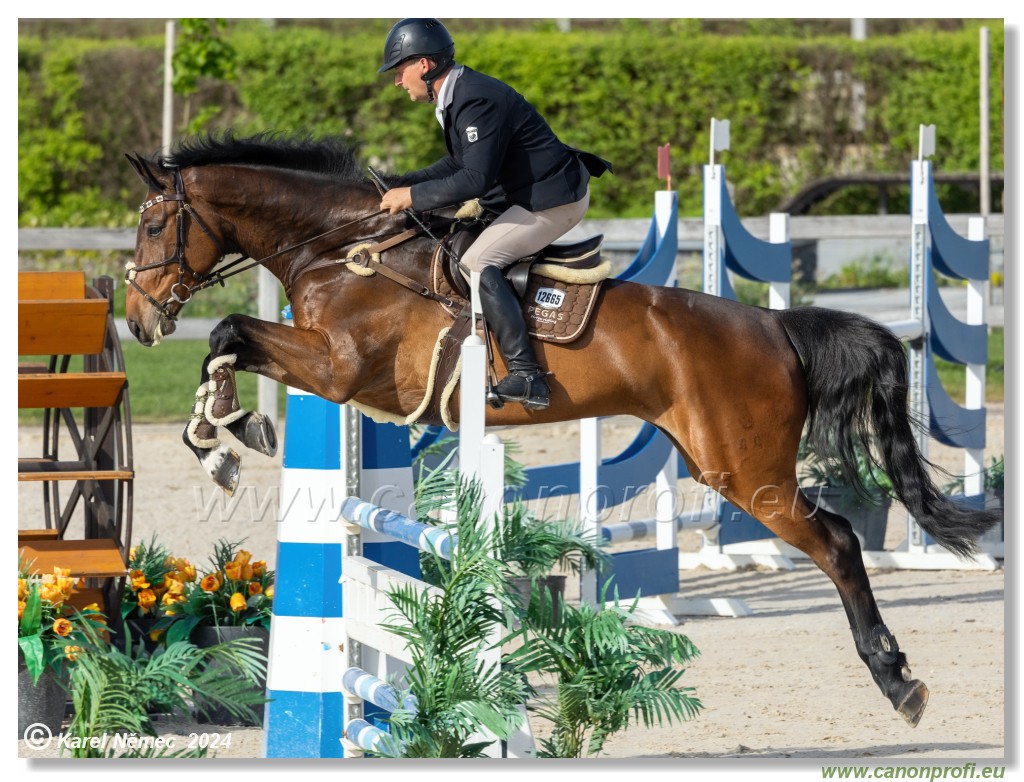 Competition L - 120 cm