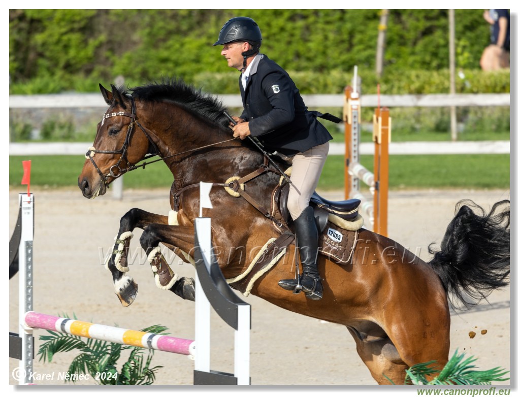 Competition L - 120 cm