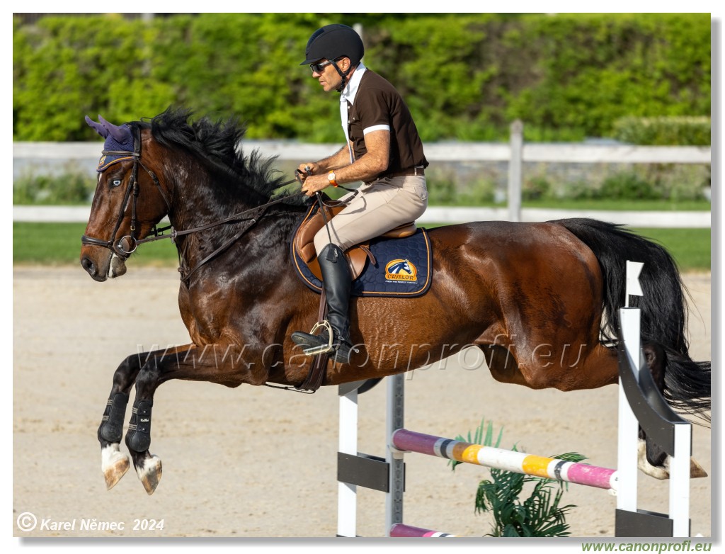 Competition L - 120 cm