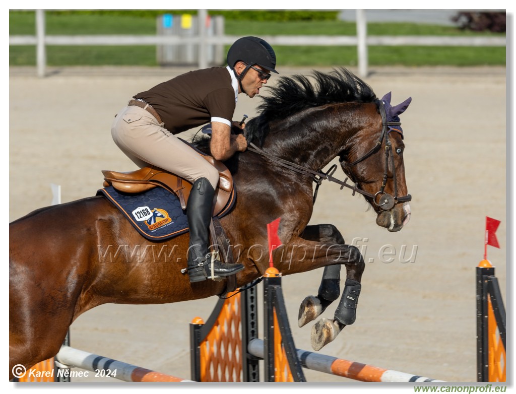 Competition L - 120 cm