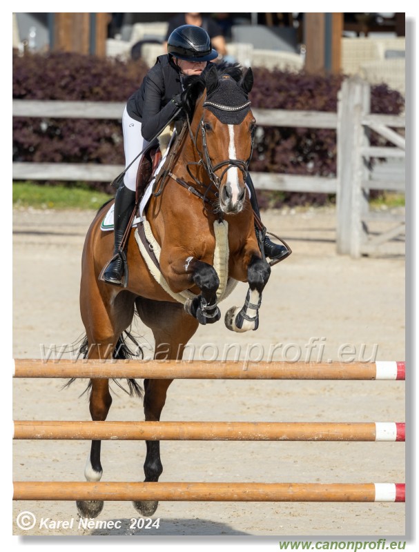 Competition L - 120 cm