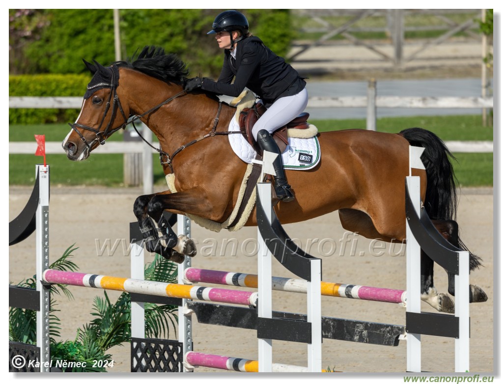 Competition L - 120 cm