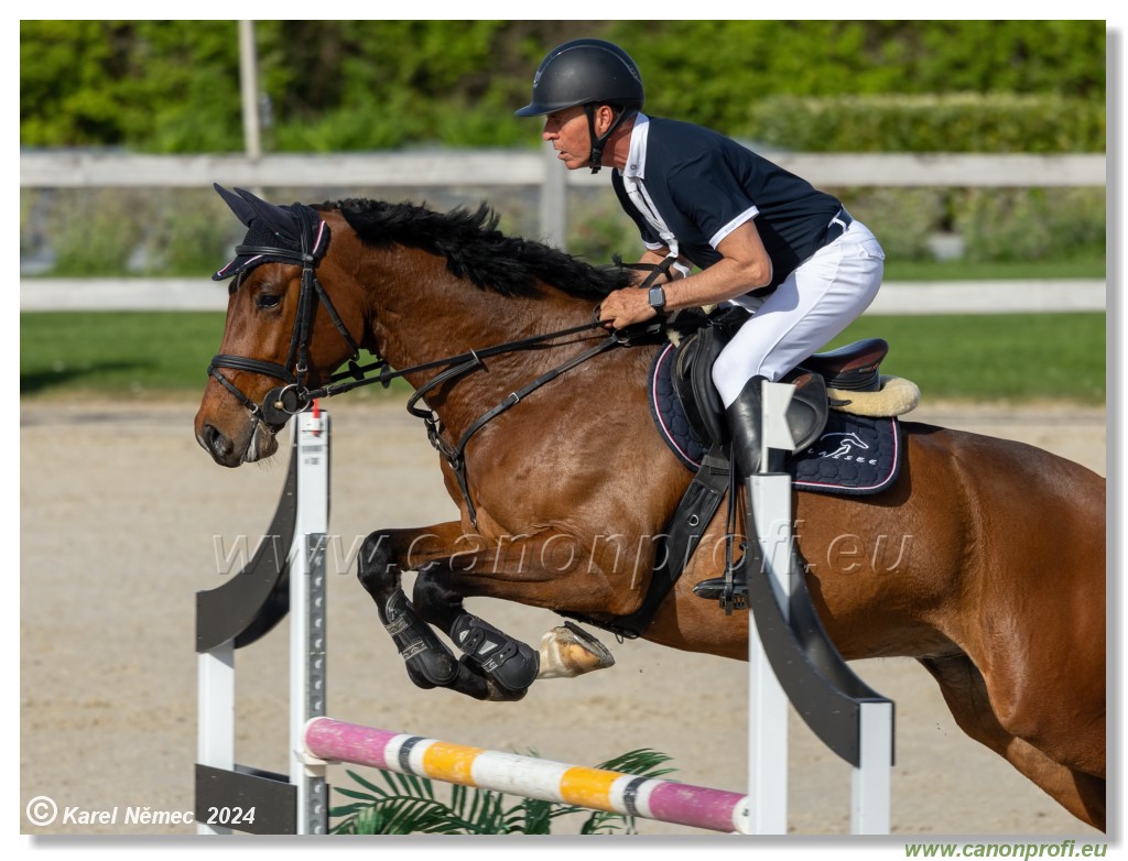 Competition L - 120 cm