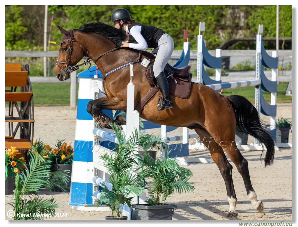 Competition L - 120 cm