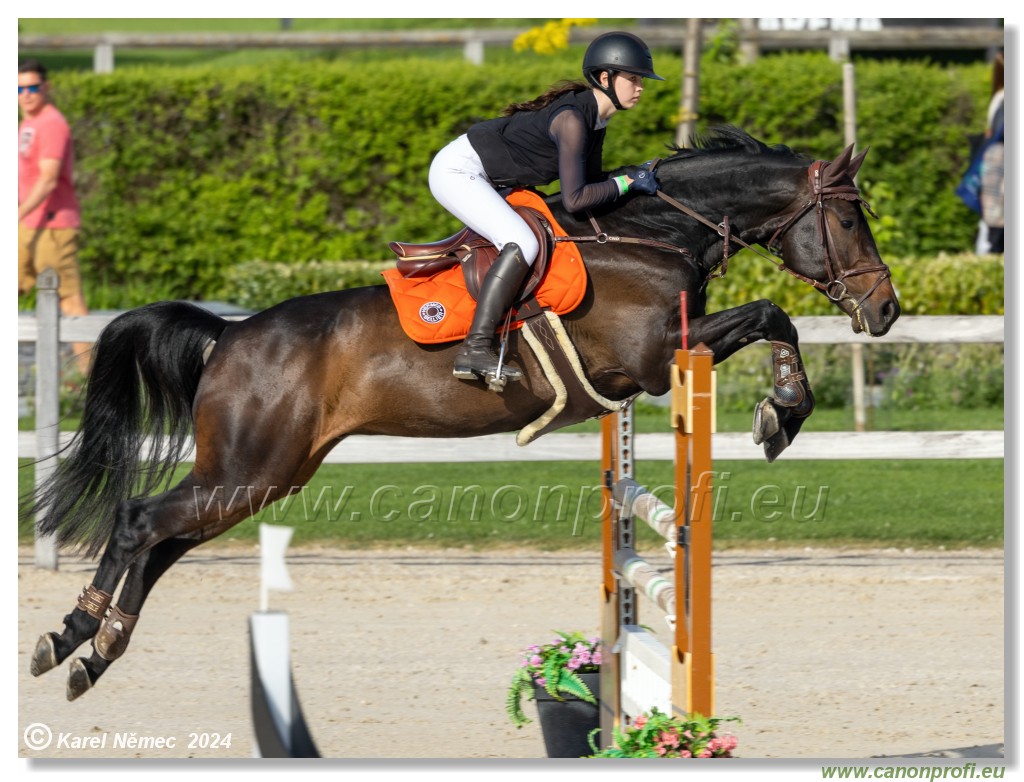 Competition L - 120 cm