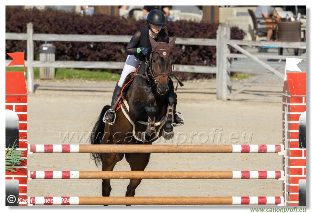 Competition L - 120 cm