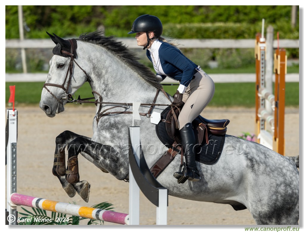 Competition L - 120 cm