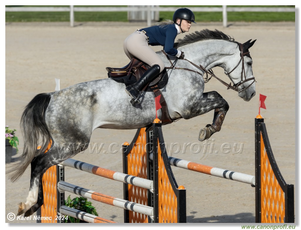 Competition L - 120 cm