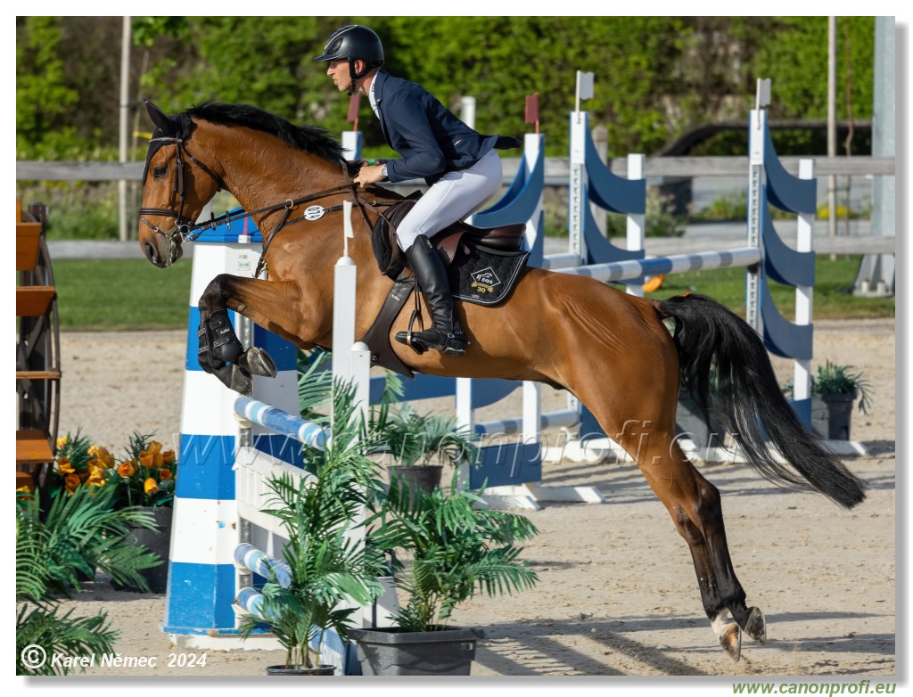 Competition L - 120 cm