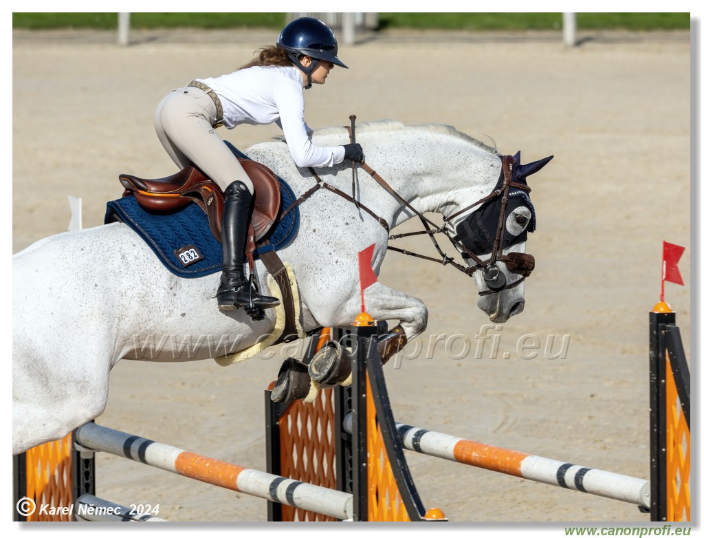 Competition L - 120 cm