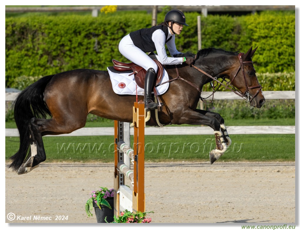 Competition L - 120 cm