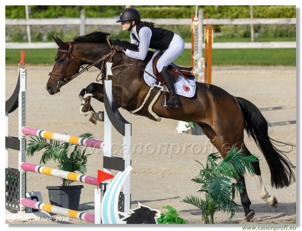 Competition L - 120 cm