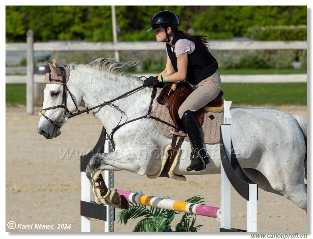 Competition L - 120 cm