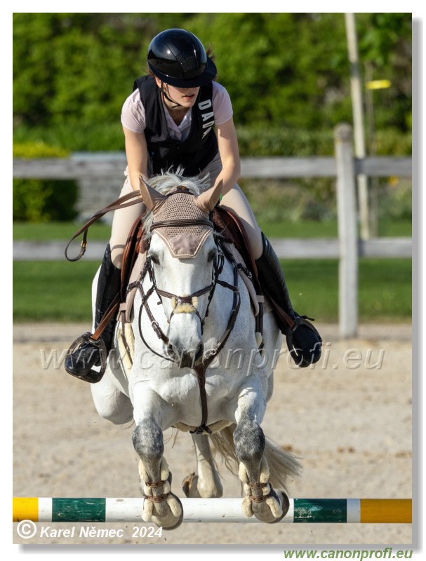 Competition L - 120 cm