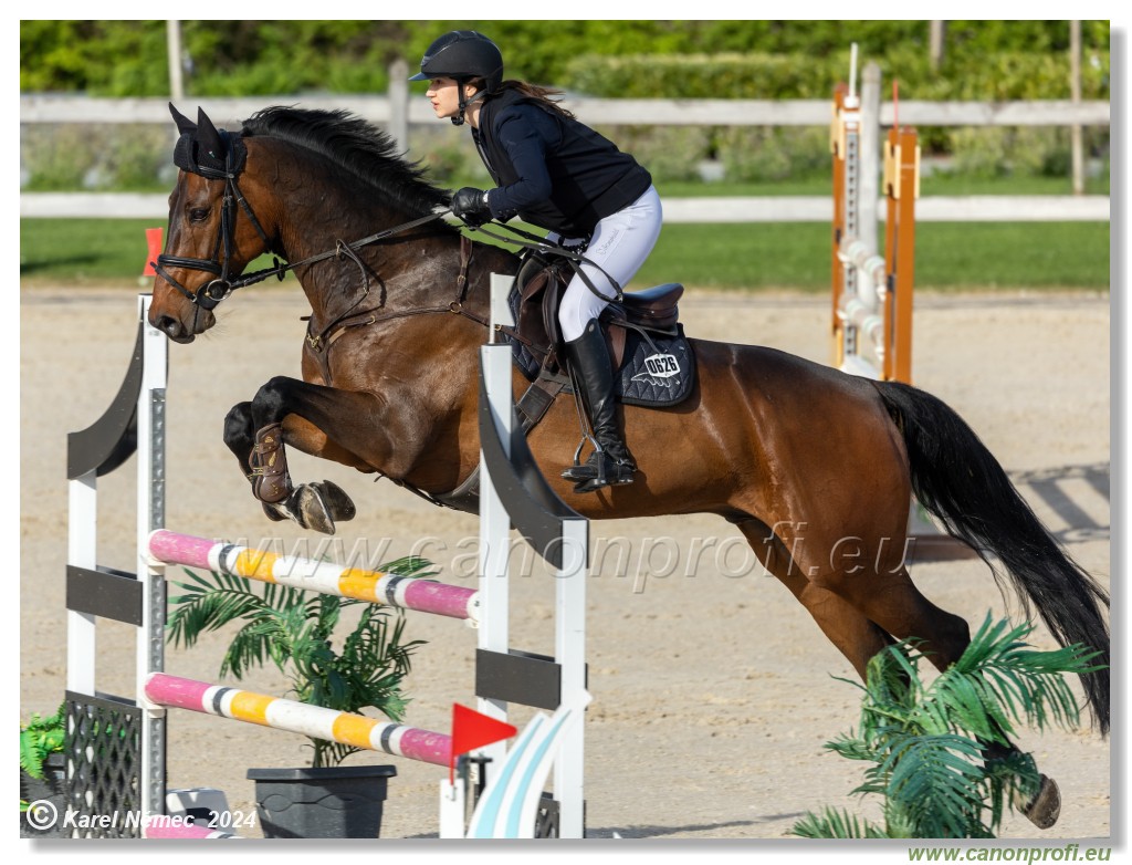 Competition L - 120 cm