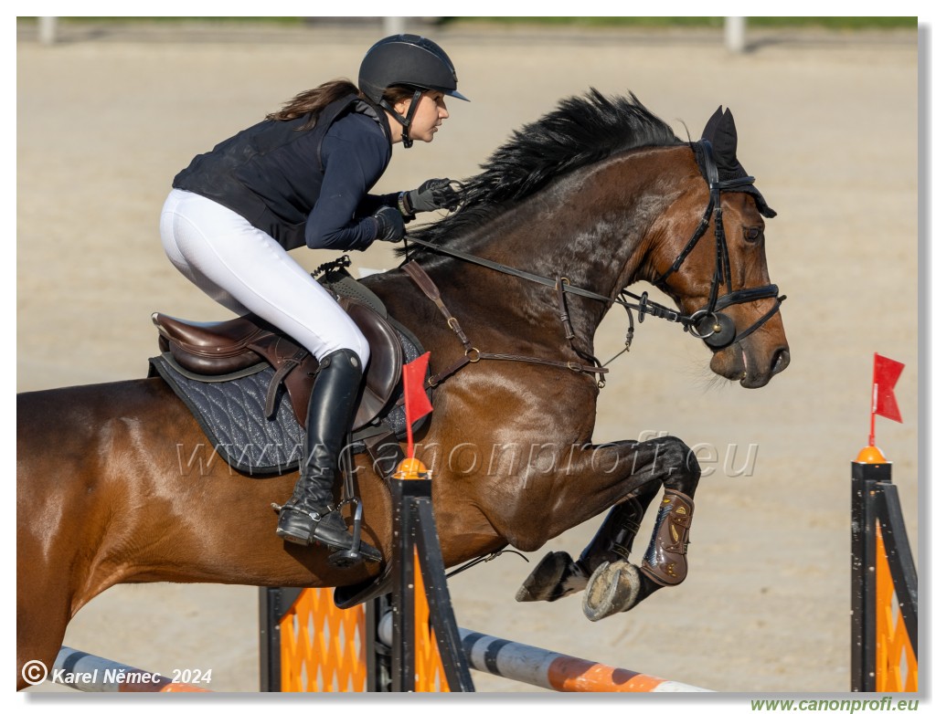 Competition L - 120 cm