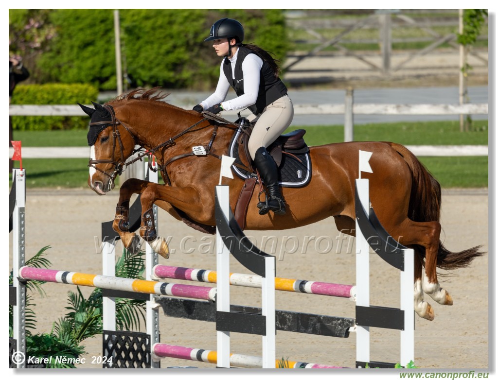 Competition L - 120 cm