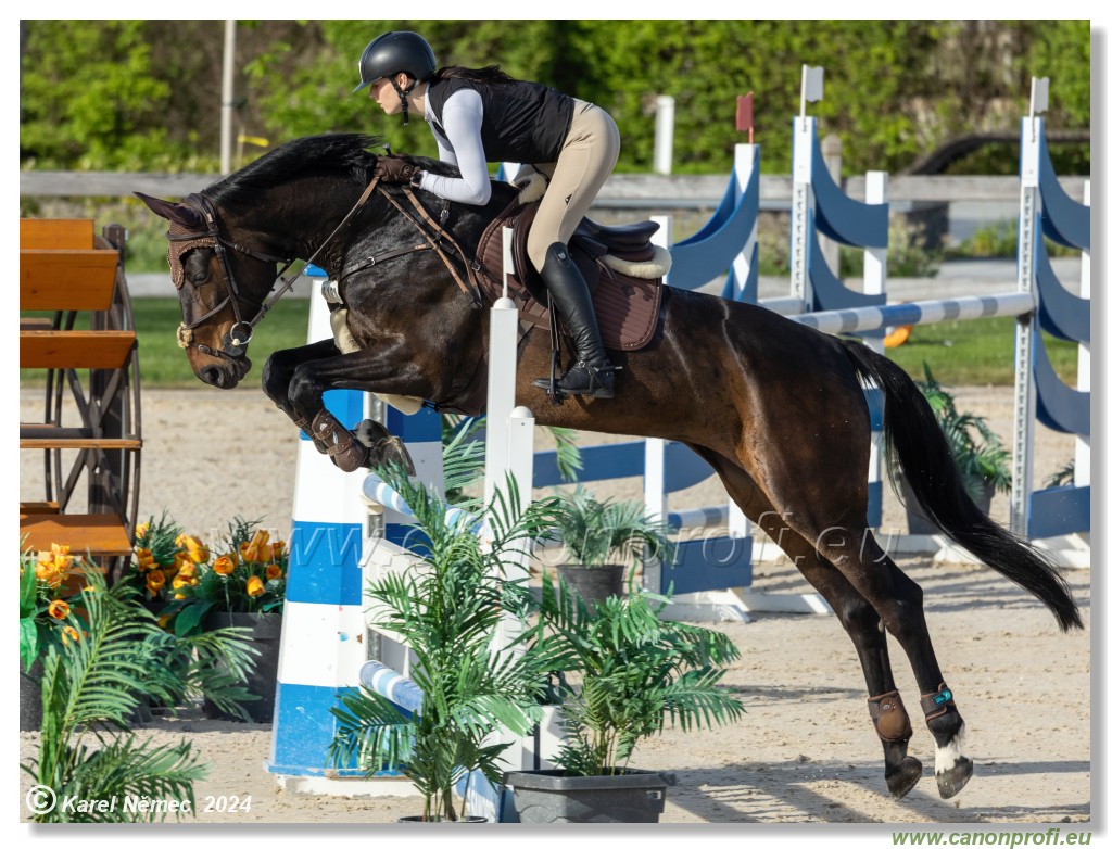 Competition L - 120 cm