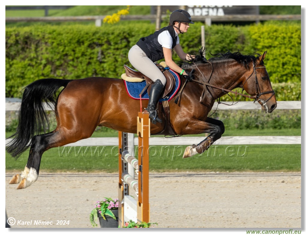 Competition L - 120 cm