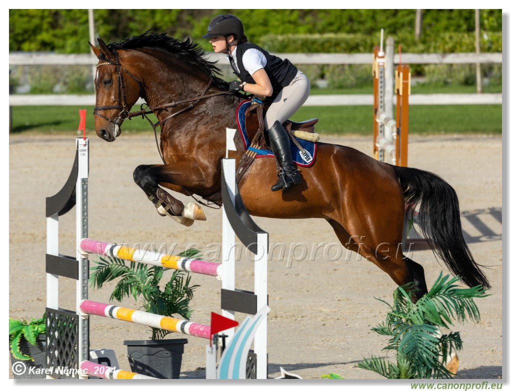 Competition L - 120 cm