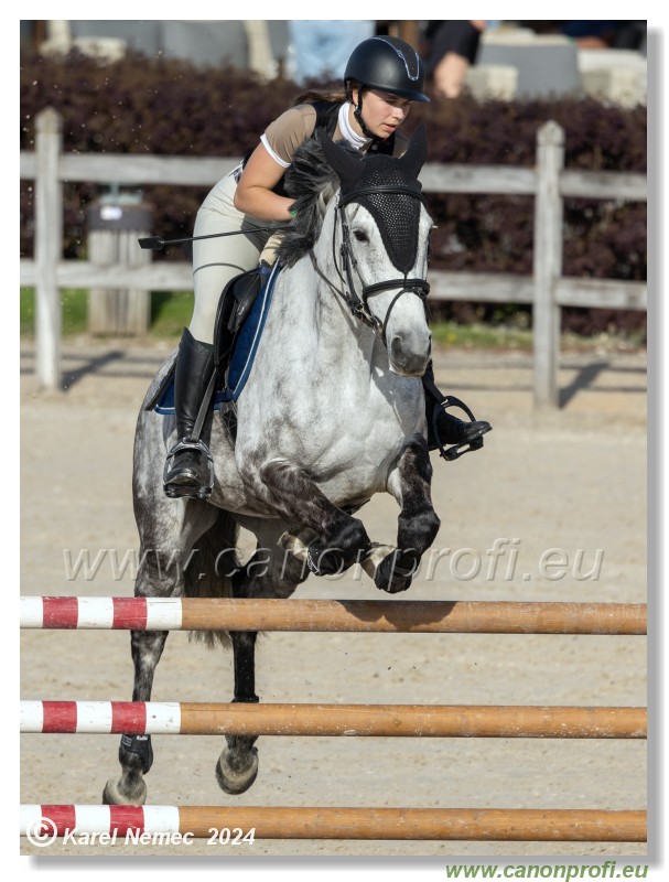 Competition L - 120 cm