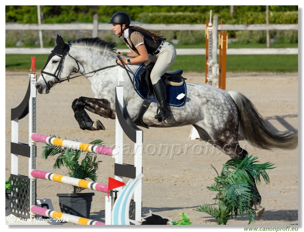 Competition L - 120 cm